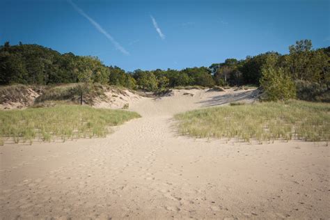 Hiking Dune Succession Trail In Indiana Dunes National