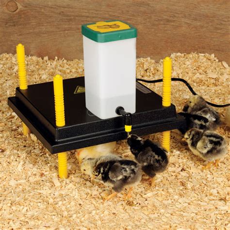 Heating Plates For Chick Brooders Premier1supplies