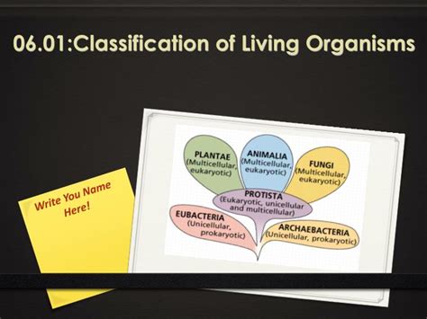 Ppt 0601classification Of Living Organisms Powerpoint