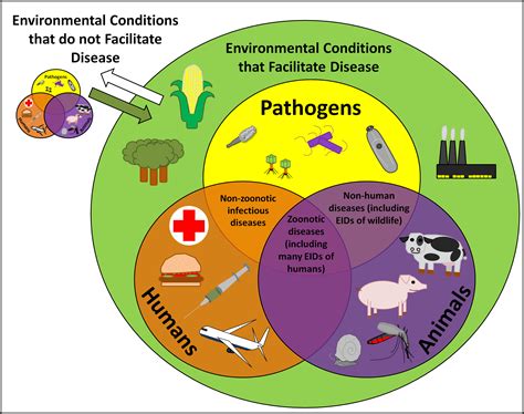 Re Emerging Disease Definition Emerging Diseases Re Infectious Ppt