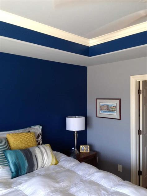 Blue Colour Combination Wall Mia Living
