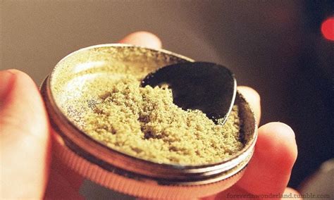 What Is Kief Cannabis Glossary Leafly