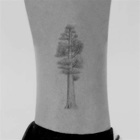 Aggregate 67 Sequoia Tree Tattoo Best Incdgdbentre