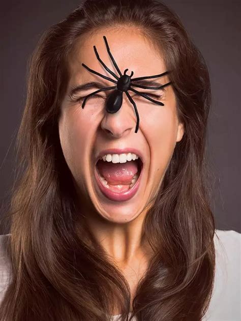 6 Effective Home Remedies For Spider Bites Fermentools