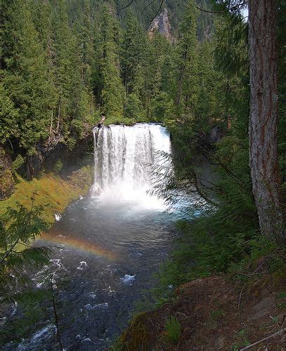 Koosah Falls Eugene Or California Waterfalls River Vacation