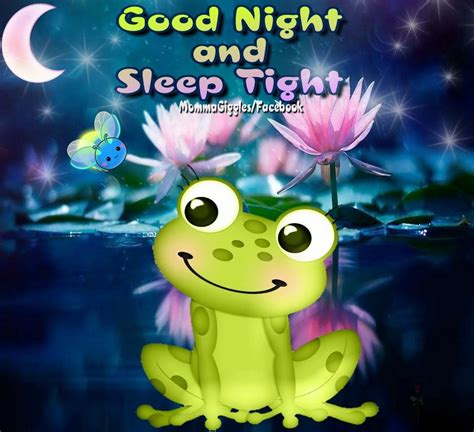 Good Night And Sleep Tight Pictures Photos And Images For Facebook