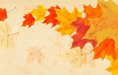 Minimalism Autumn Wallpapers Wallpaper Cave