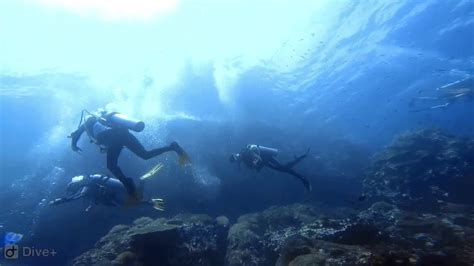 Diving Sail Rock Koh Tao Youtube