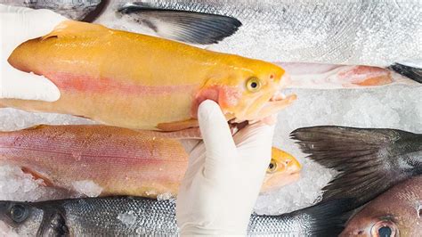 What You Need To Know When Youre Buying Fish Fish Fish Fillet
