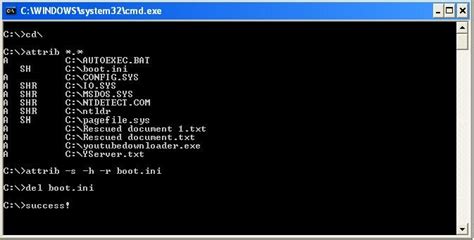 How To Delete Virus Using Command Prompt Or Ms Dos Infolandia