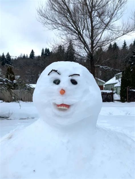 27 Oddly Terrifying Photos That We Can T Unsee So Now You Have To See Them Frosty The Snowmen