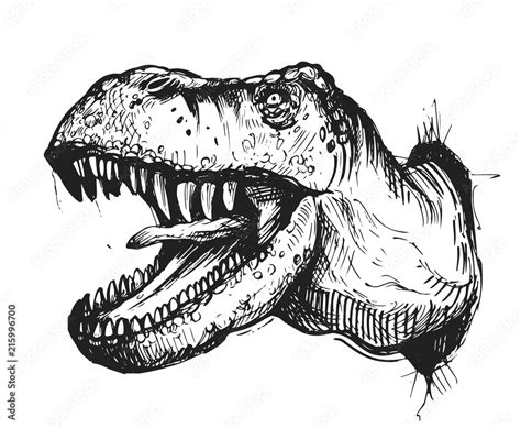 Sketch Of A Dinosaur Head With An Open Mouth Tyrannosaur Hand Drawn