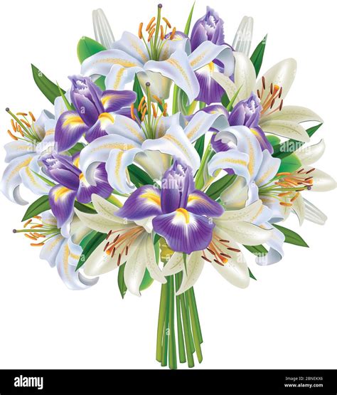 Bouquet Of Irises And Lilies Vector Illustration Stock Vector Image