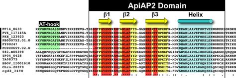 Alignment Of The Ap2 Domain From Pf14 ࿝ 0633 Amino Acids 63123 To