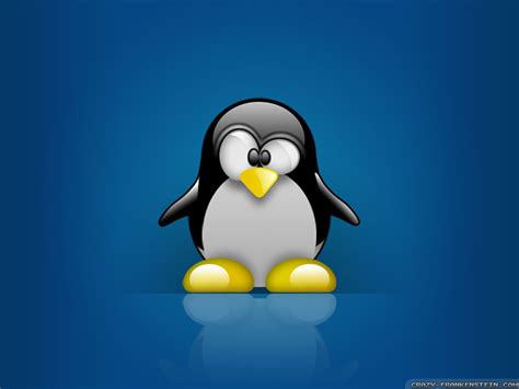 Tux Wallpapers Top Free Tux Backgrounds Wallpaperaccess