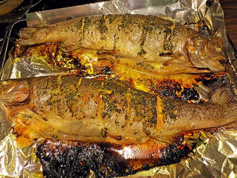 Lachsforelle aus dem Backofen von bross Chefkoch