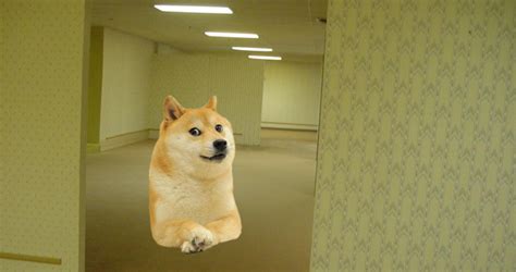 Doge Stuck In The Backrooms The Backrooms Know Your Meme