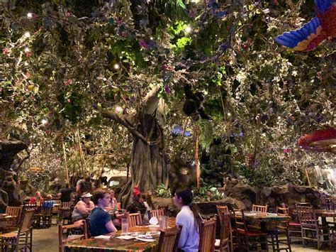 Rainforest Cafe At Disneys Animal Kingdom Its What You Think