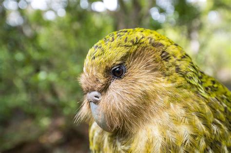 Passing This Animal Kingdom Quiz Is Only Proof You Need To Show You're