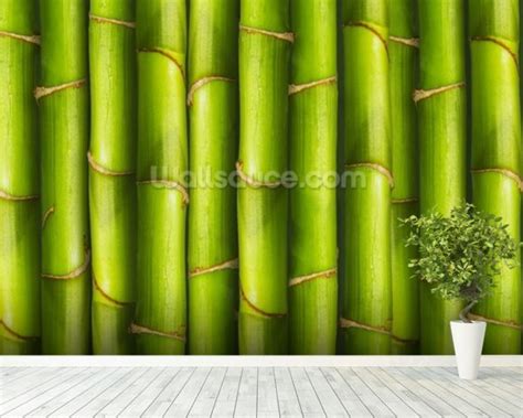 Bamboo Light Green Wallpaper Wall Mural Wallsauce Canada