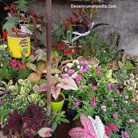 Misalnya, di bawah garasi, atau tumpukan tanak depan rumah. 6 Ide Desain Taman Cantik di Atas "Septic Tank" ~ Desainrumahpedia.com : Inspirasi Desain Rumah ...