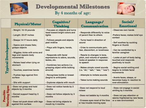 Baby Development Chart