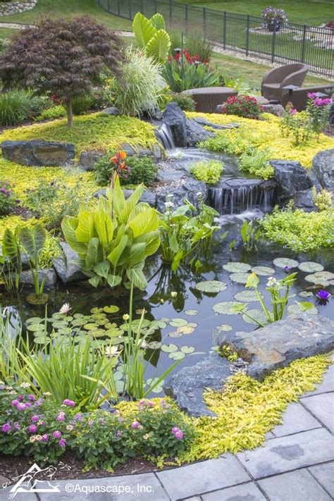 A Garden Pond Provides The Opportunity To Expand Your Selection Of