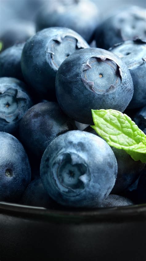 Wallpaper Blueberry Berries 4k Food 17817