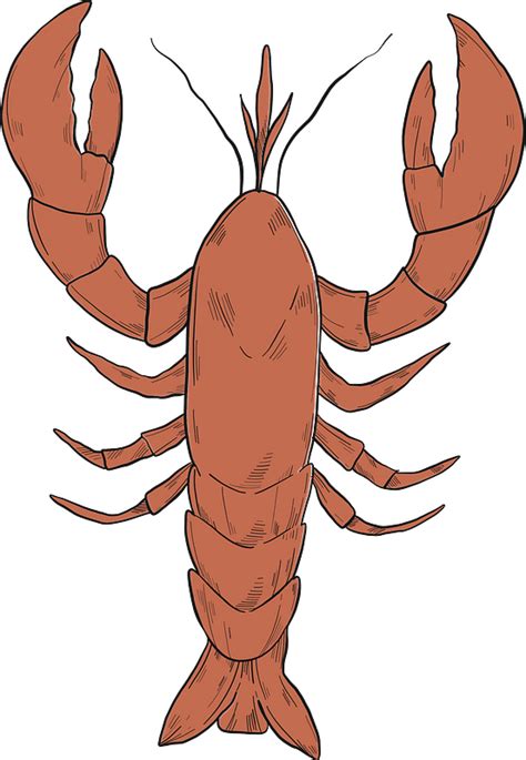 Lobster Clipart Free Download Transparent Png Creazilla