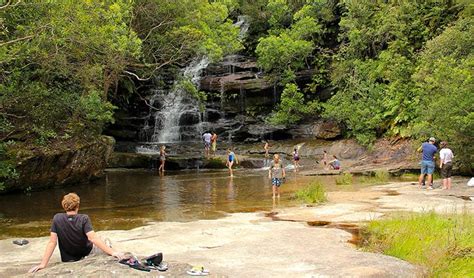 Latest companies in picnic grounds category in the united states. Somersby Falls picnic area | NSW National Parks
