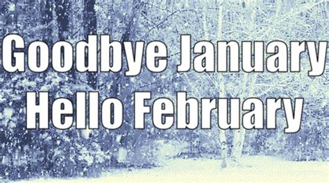 Goodbye January Hello February Images Quotes For Whatsapp Dp And