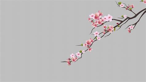 Cherry Trees Cherry Blossom Minimalism Dots Pink Flower Wallpapers