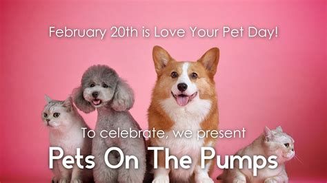 Love Your Pet Day Pet Happy Loveyourpetday Our Communities Are
