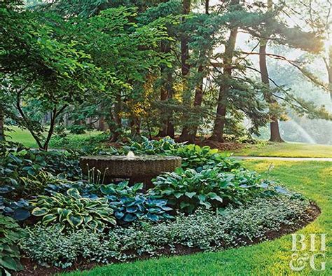 Now that you know a lot about this zone, let's find some shade shrubs that will be hardy in zone 6. Hosta-Filled Shade Garden