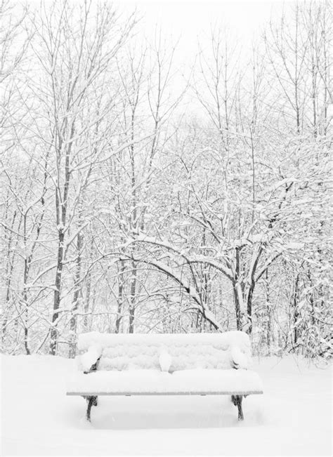 Park Bench Winter Scenery Winter Scenes Winter Pictures