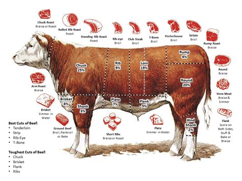 Beef Cuts Of Meat Chart