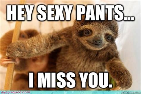 Hey Sexy Pants I Miss You I Miss You Baby Sloth Quickmeme