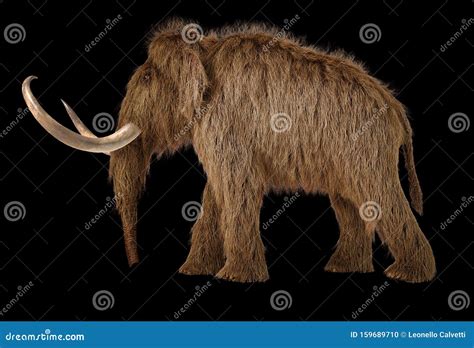 Woolly Mammoth Realistic 3d Illustration Viewed From A Side Stock