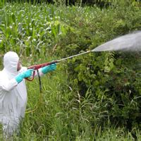 Pest control is best achieved with an integrated pest management plan using a range of biological, chemical, mechanical, physical or. Commercial 6 Right-of-Way