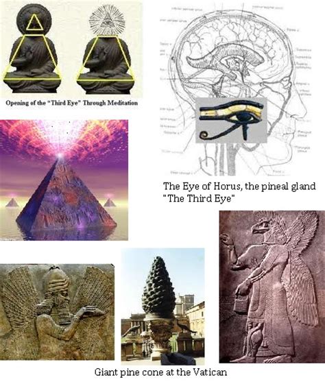 The Pineal Gland Crystal Transducer Starship Earth The Big Picture