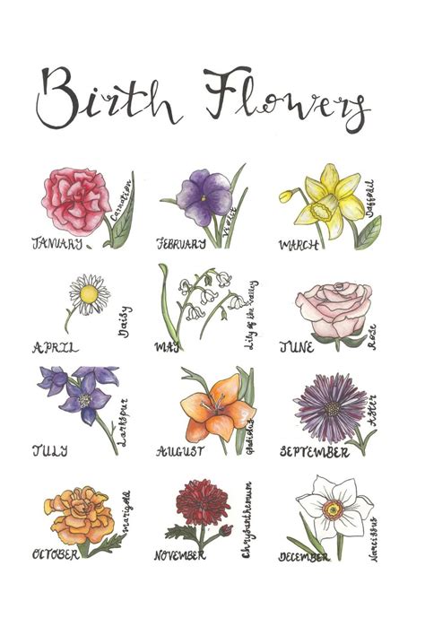 Birth Flowers Print Etsy