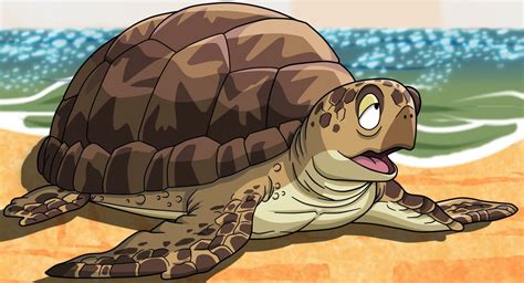 Cartoon Turtle On The Beach