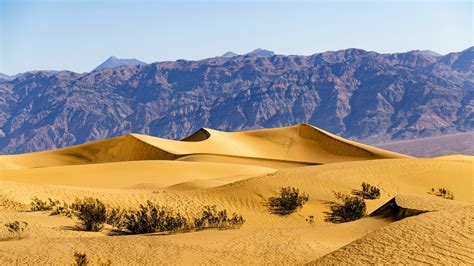 Download Wallpaper 3840x2160 Desert Dunes Mountains Sand Bushes