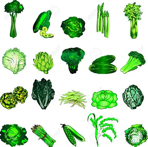 List 104 Pictures Green Leafy Vegetables List With Pictures Superb
