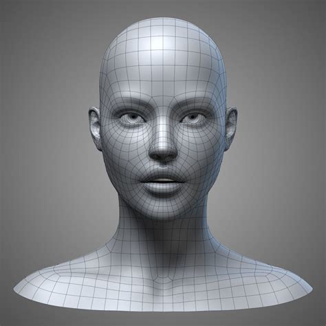 Female Head 3 3d Model Female Head Zbrush Models Face Topology