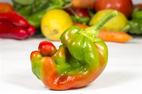 Naturally Imperfect Produce - Learn About The Ugly Produce Movement