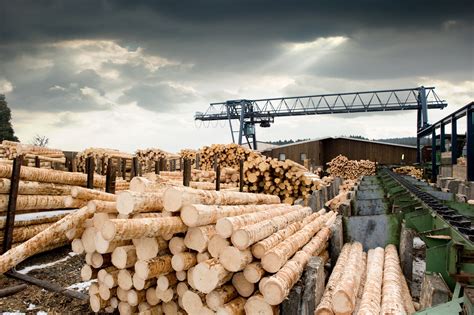 Malaysia needs to be vigilant and diligent to ensure illegal logging and illegal timber trade does not threaten our nation and its natural resources, said mme hajjah norchahaya hashim, deputy director general, malaysian timber industry board (mtib), at her opening speech. 3 Top Dividend Stocks in Lumber | The Motley Fool