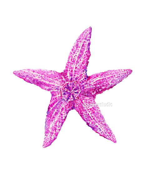Starfish Watercolor Pink Starfish Print Sea Creature Wall Art