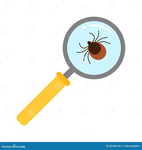 Vector Realistic Isolated Ixodes Tick Insect With Magnifier Glass For