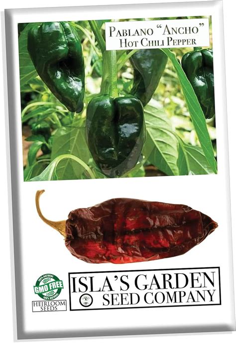 Poblano Ancho Hot Chile Pepper Seeds For Planting 50 Heirloom Seeds